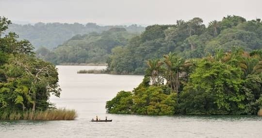 Wildlife & Adventure: Monkey & Sloth Habitat Tour in Panama