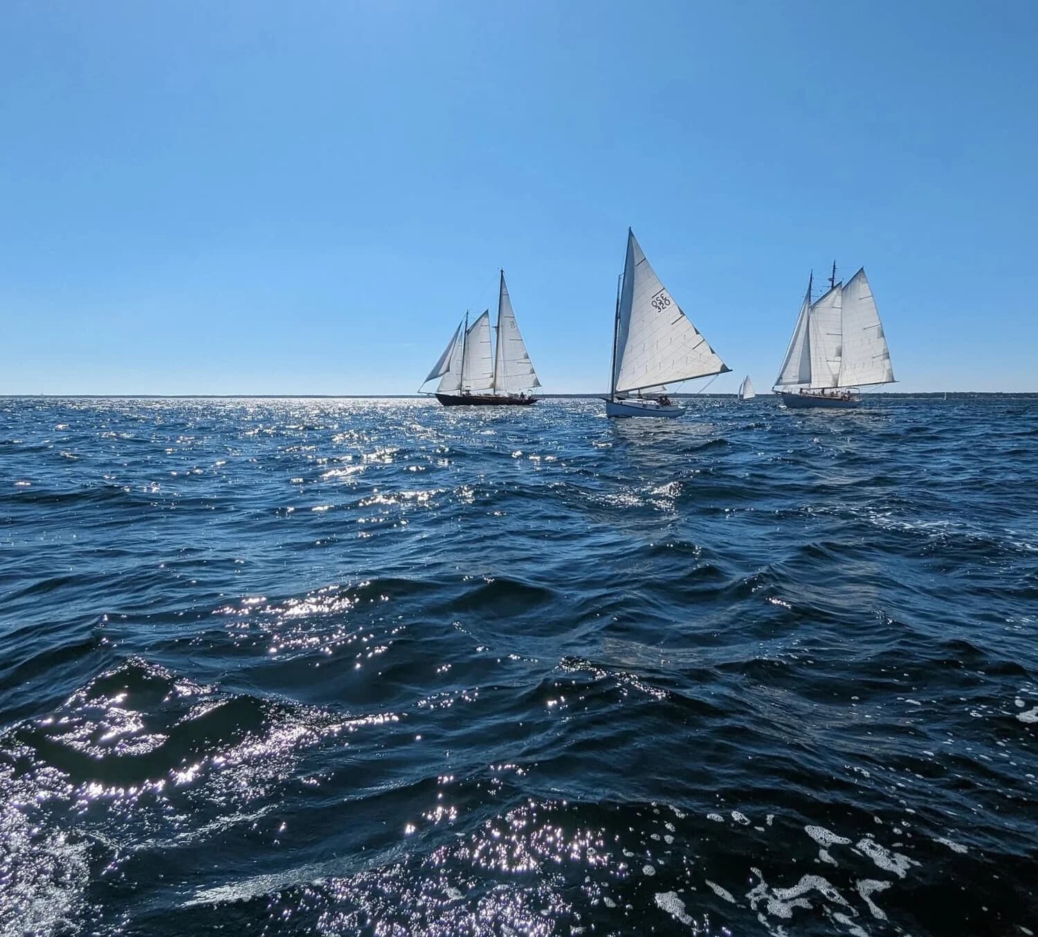 Afternoon Voyage: Sailing Vineyard Sound Aboard Aldebaran from Chilmark