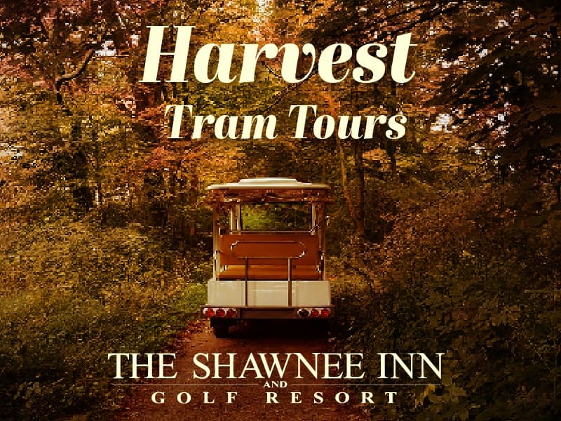 Fall Harvest Tram Tour and Pumpkin Picking in East Stroudsburg photo 1