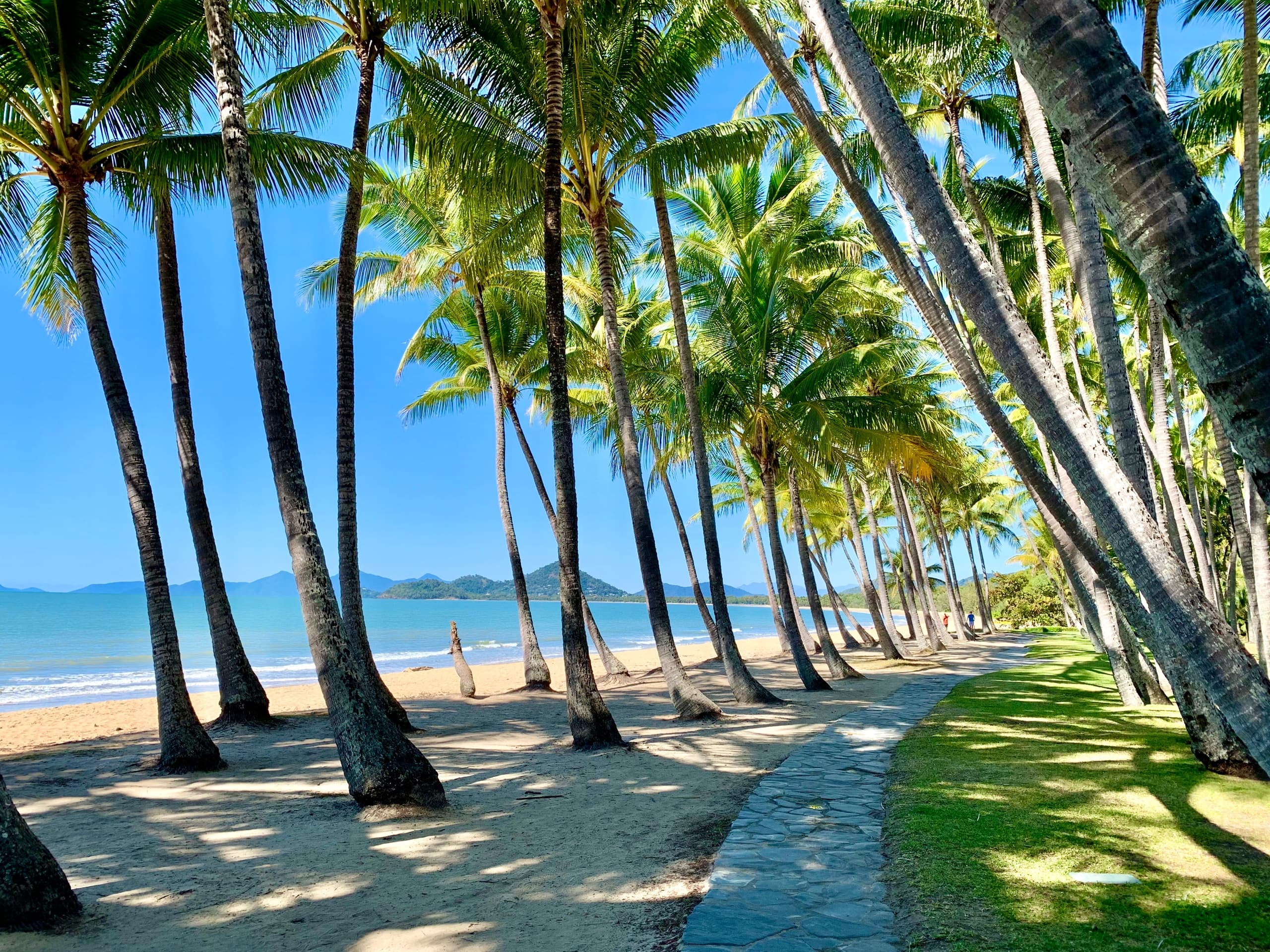 Tropical beach walkway lined with palm trees and blue ocean