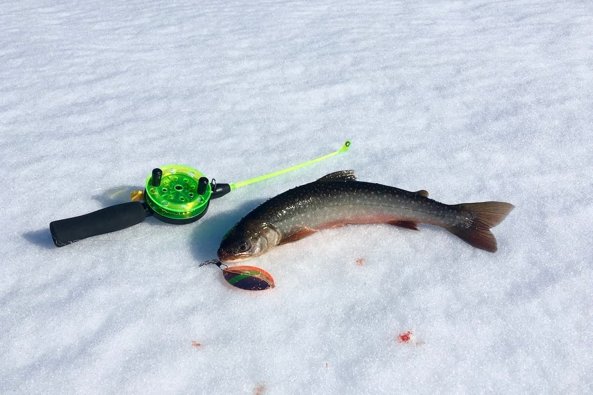 Ice fishing catch on snow with rod and lure on frozen lake