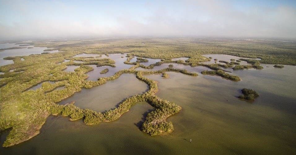 Mastering Community Preserve Management: Essential Workshop for HOAs and CAMs in Naples, Florida