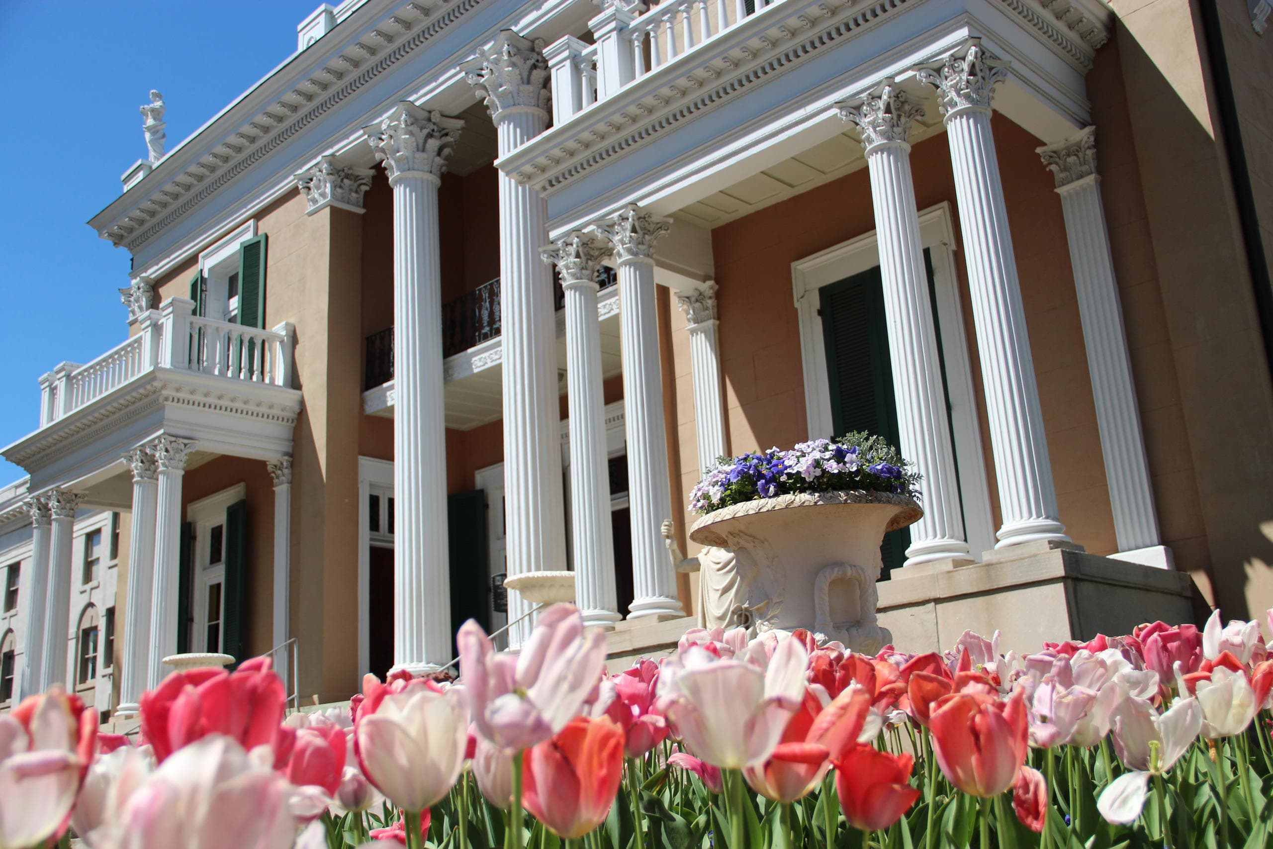 Belmont Mansion portico with columns and tulip beds in spring