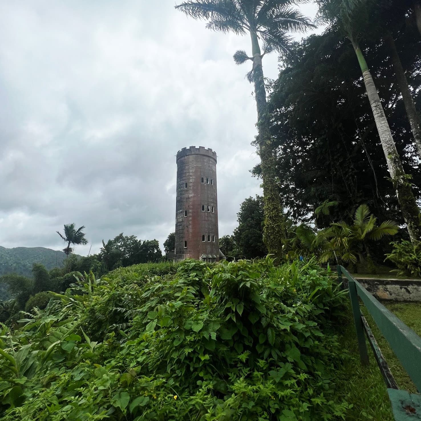 El Yunque Rainforest Tour by Puerto Rico Vacations
