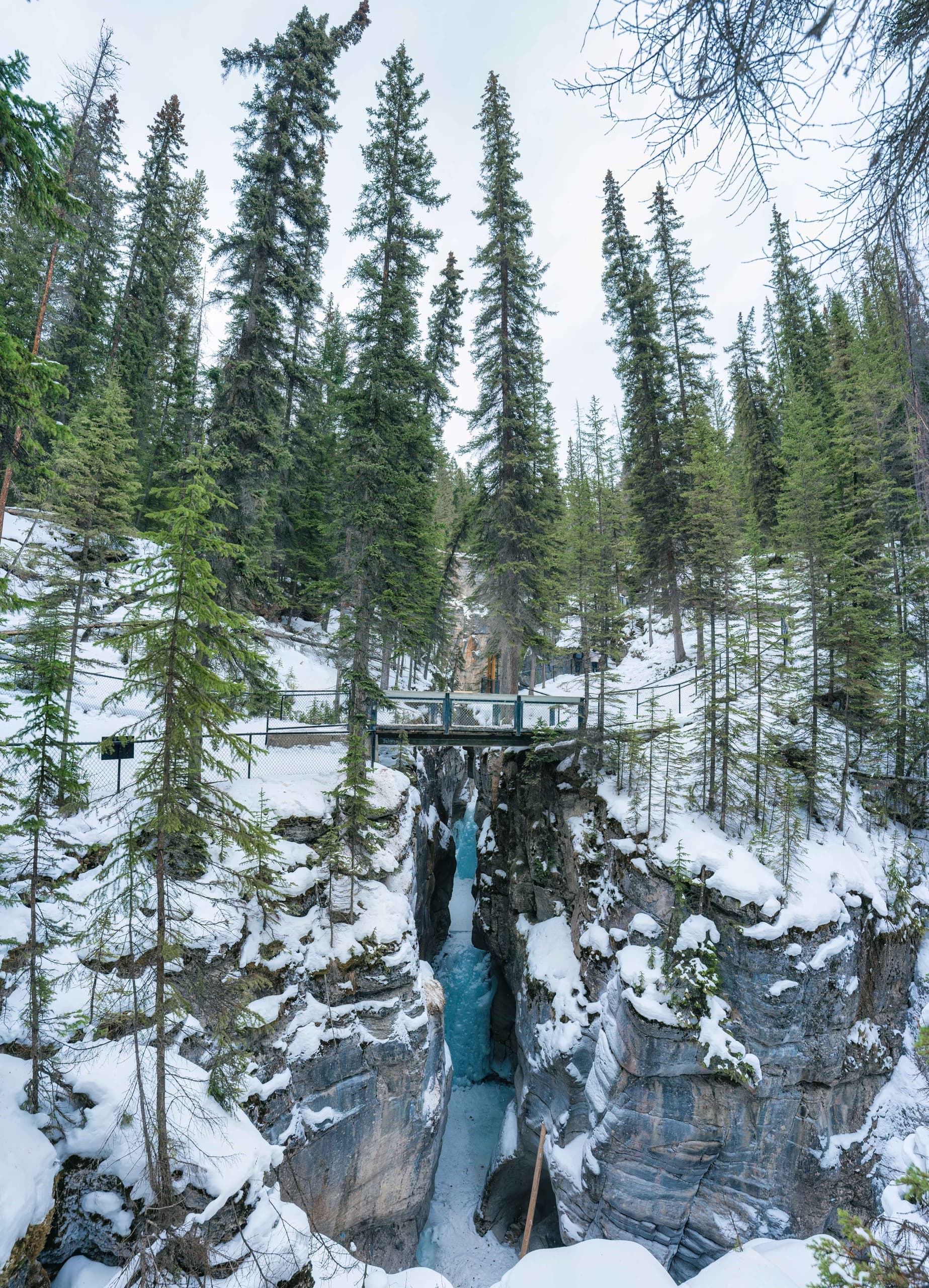 Hidden Frozen Gems of Yoho & Kootenay: Winter Day Tour from Banff photo 1