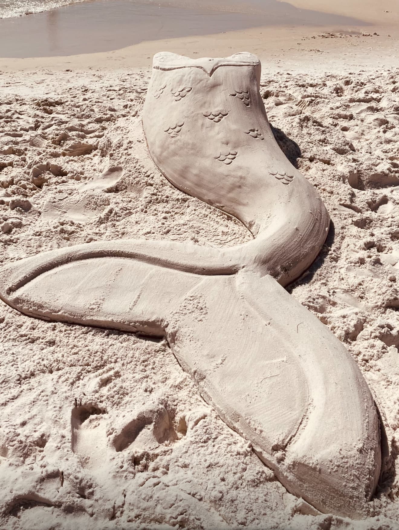 Sandcastle Rockstars’ Mermaid Tail & Sea Turtle Sand Sculpting
