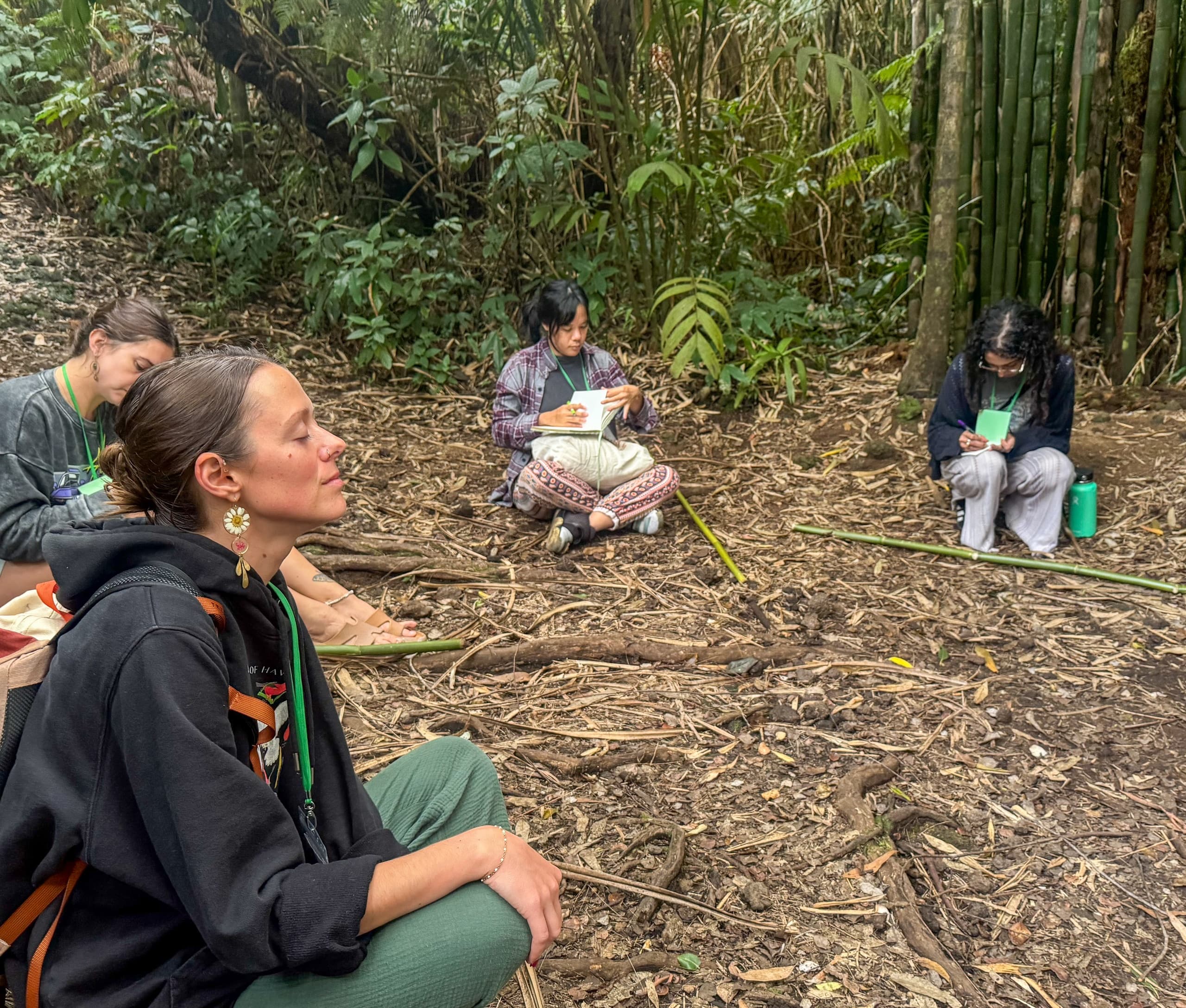 Forest Bathing at Kona Cloud Forest Sanctuary: Guided Shinrin-Yoku Near Kailua-Kona