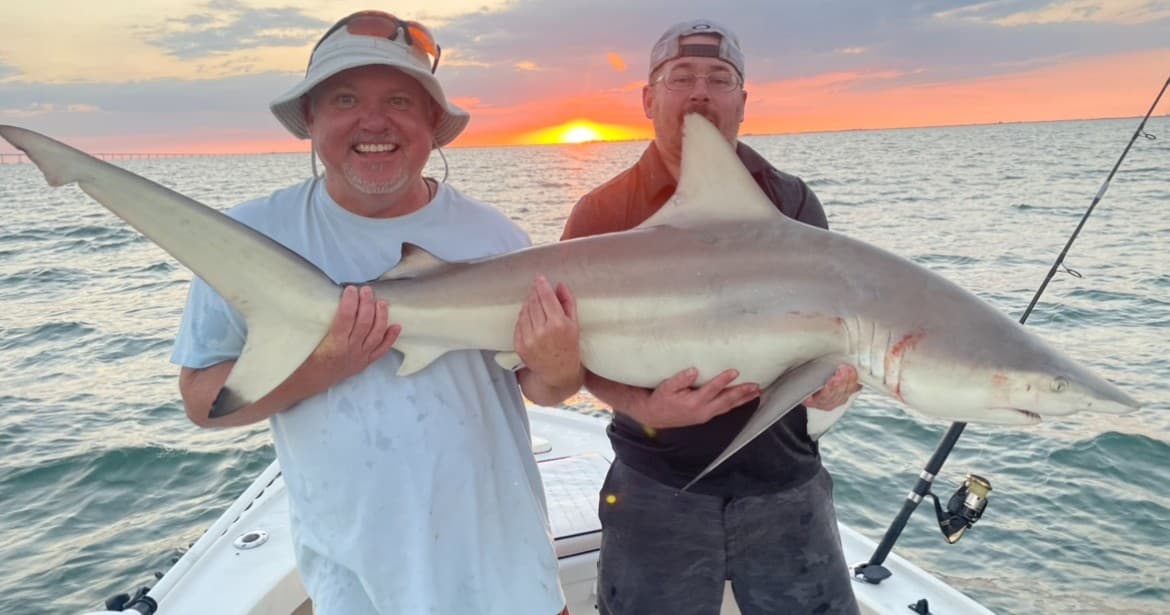 Inshore Shark Fishing with Fish Tamer Charters in Ruskin