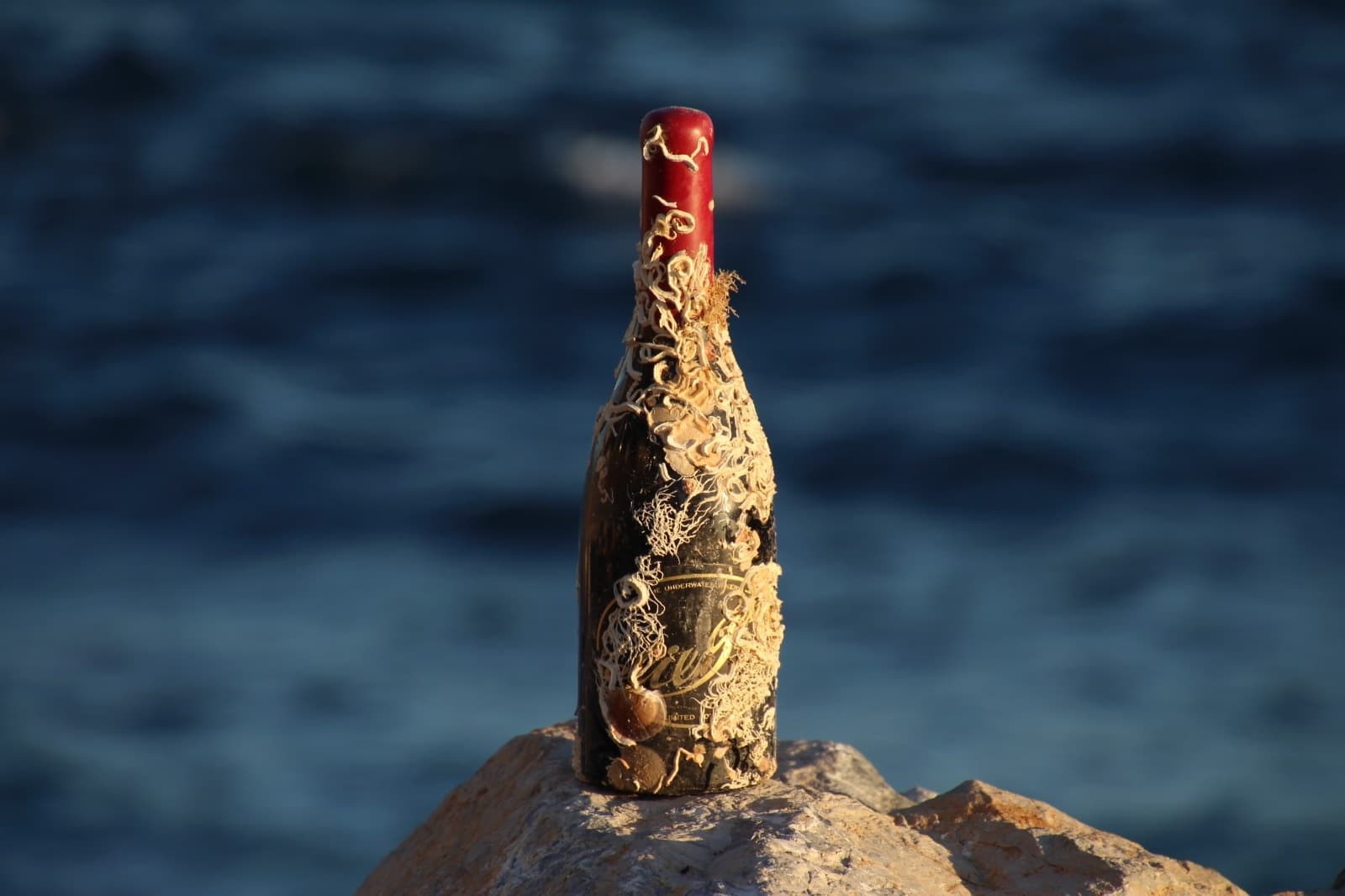 Sunset Sail and Submerged Wine Tasting at the Islas Medas