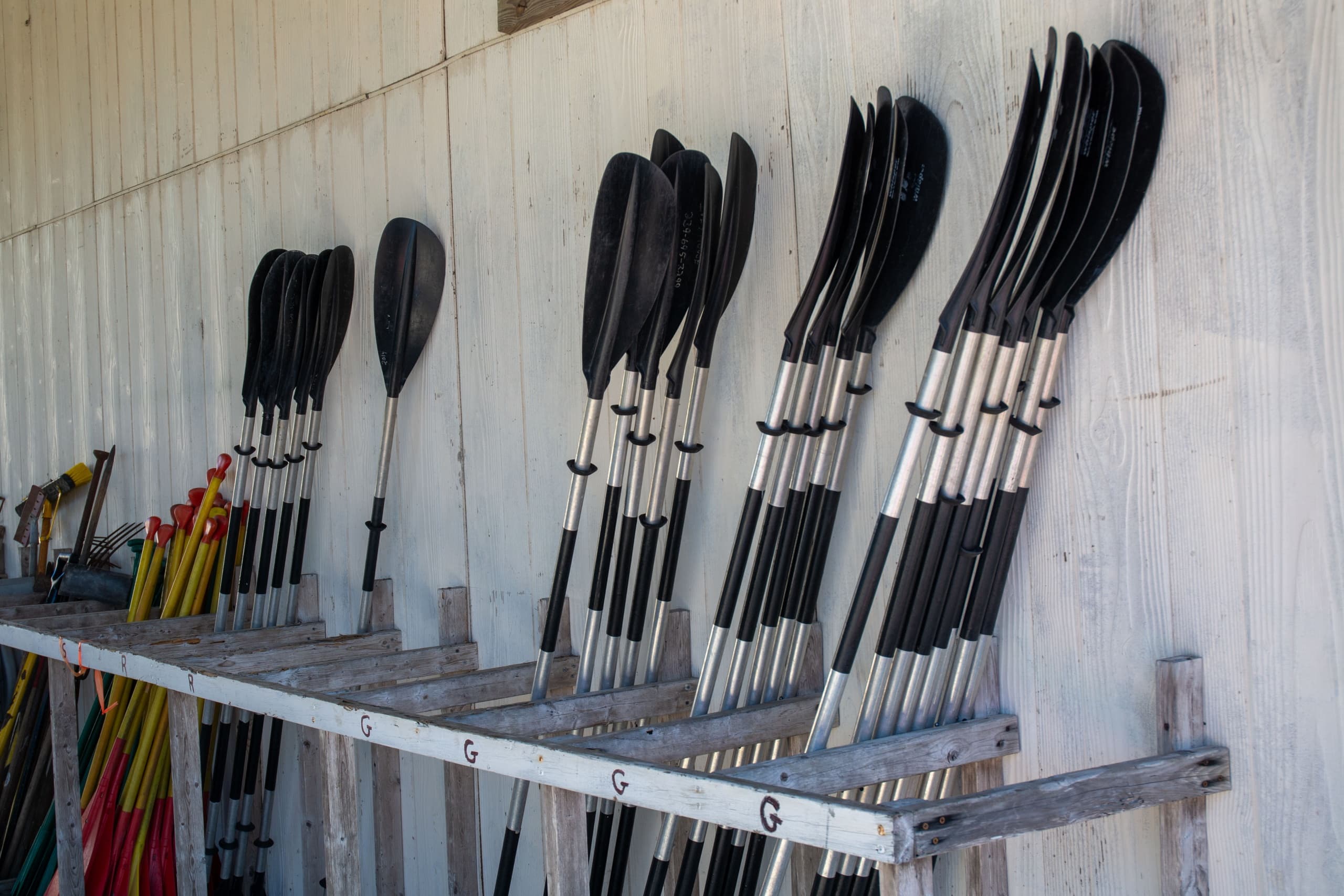 Water Activities & Equipment Rental at Everglades National Park