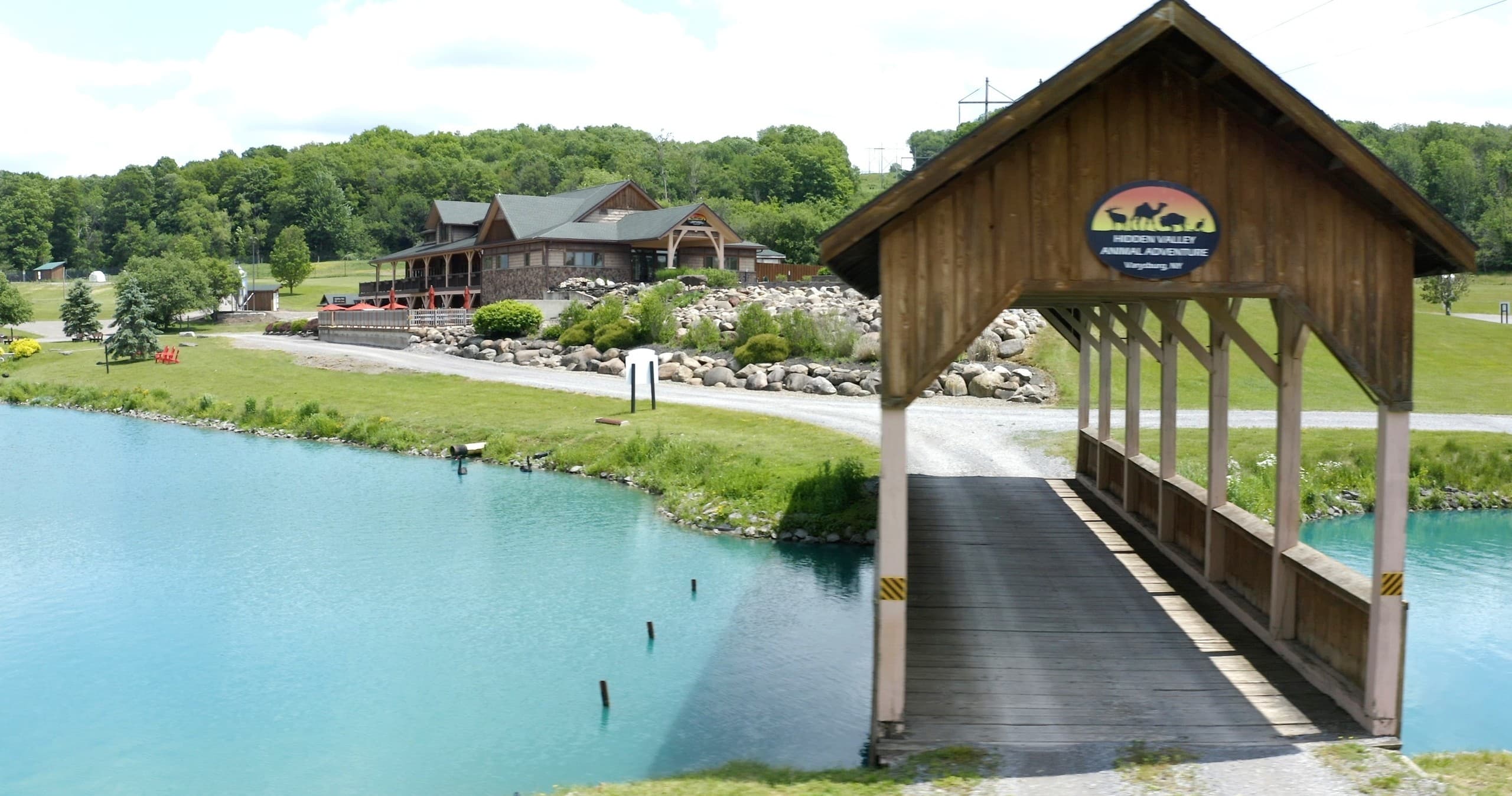 Wildlife & Lodging at The Elk Room in Hidden Valley
