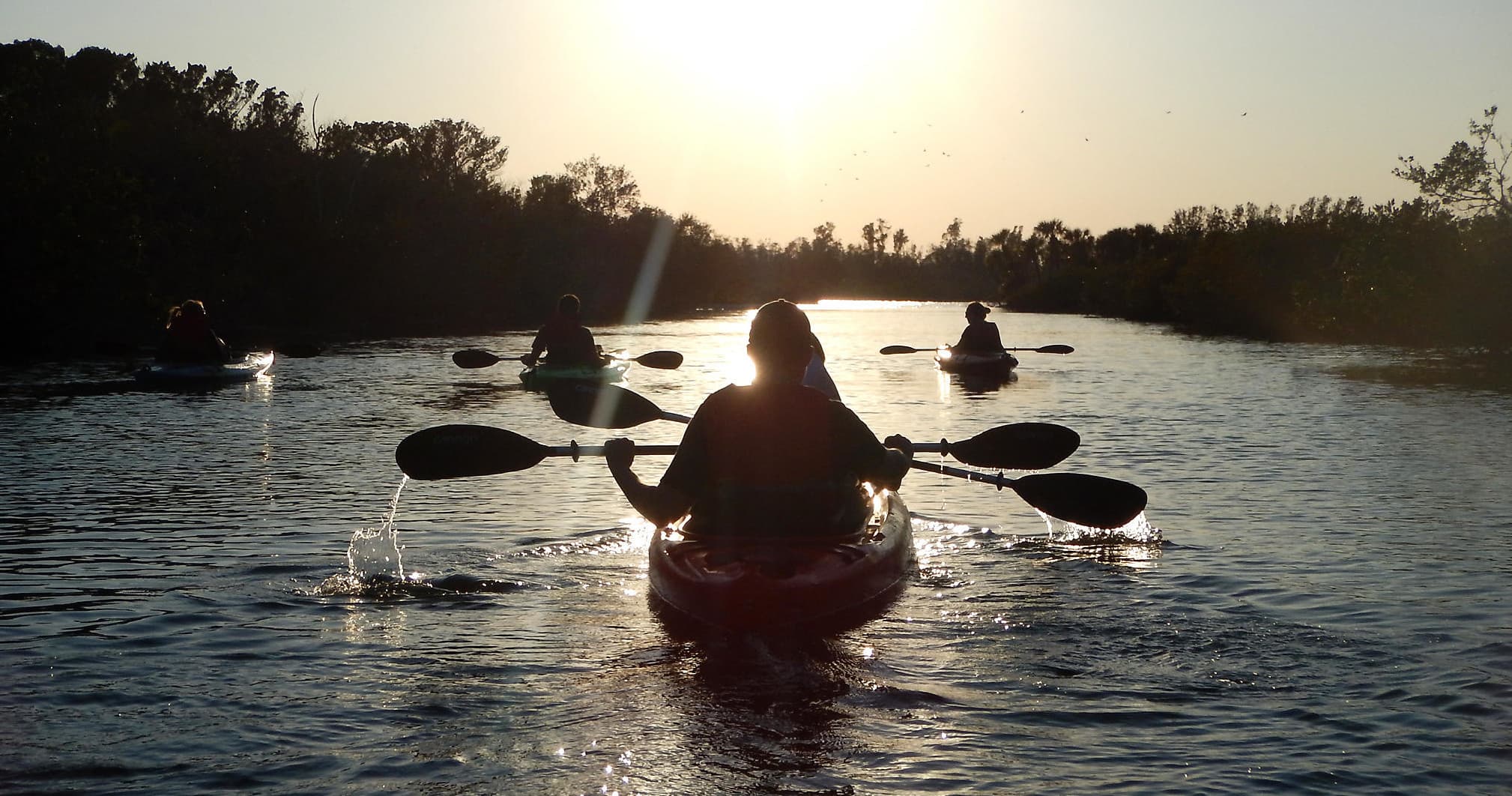Private Kayak Tours with A Day Away Kayak Tours in Titusville