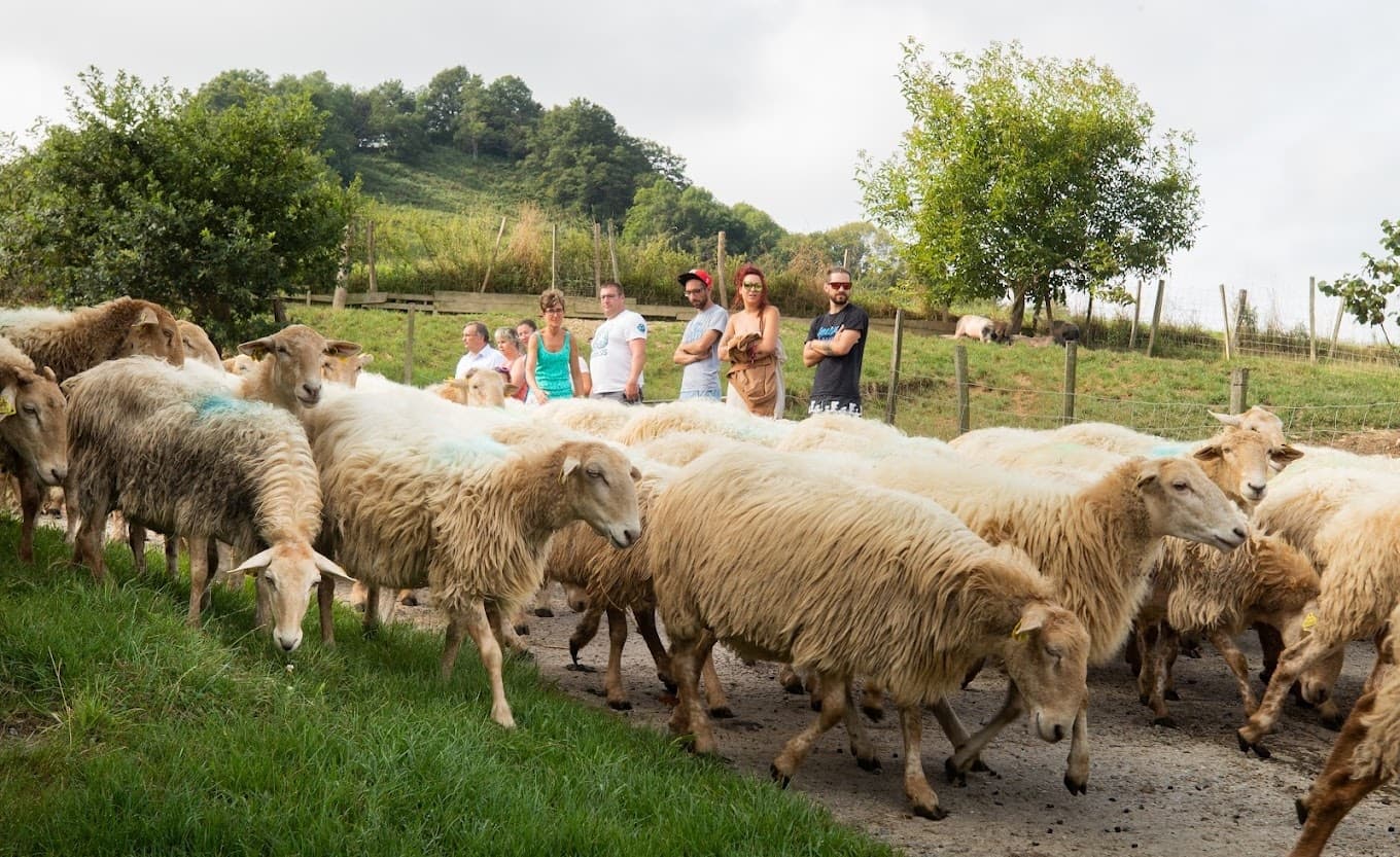 Wildlife & Farm Tour at Basque Animal Farm