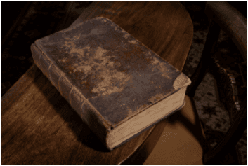Outdoor Culture & Literary Trips at Rydal Mount