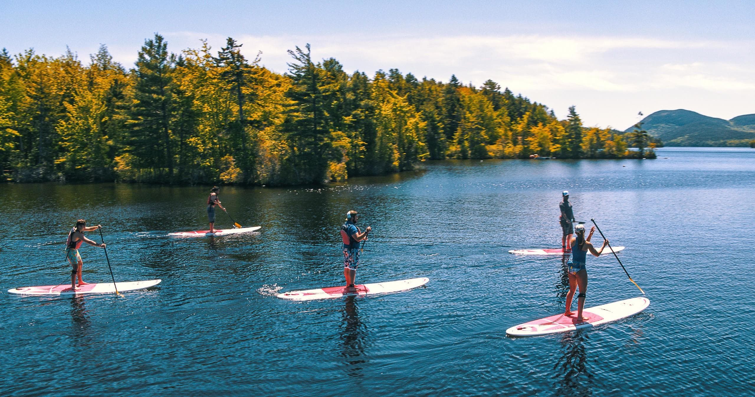Standup paddlers crossing lake framed by autumn forest shore