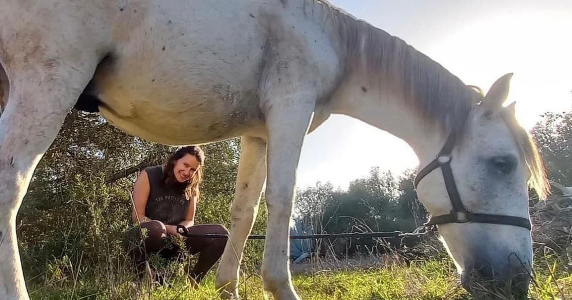 Equine Experiences & Farm Tours in South-West Algarve