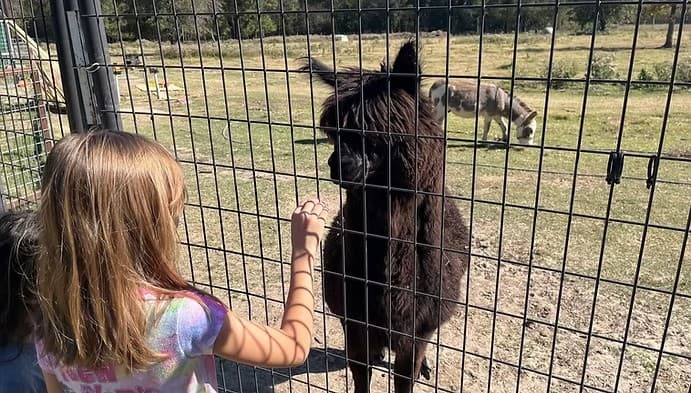 Birthday Takeover: Private Zoo VIP Experience in Grand Saline, Texas