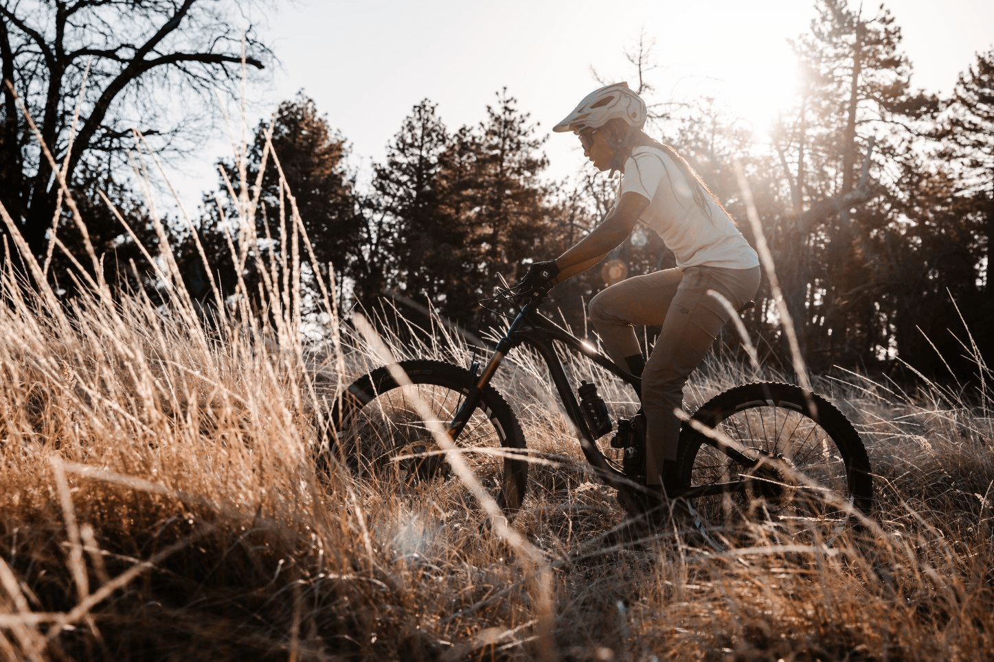Yosemite & Bass Lake Bike Rentals by Pedal Forward Bikes