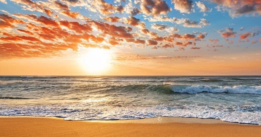 Sunset Cruise with Oceans Horizon Charters in Riverview