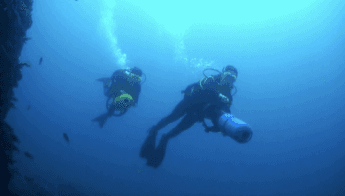 ACE DIVING team