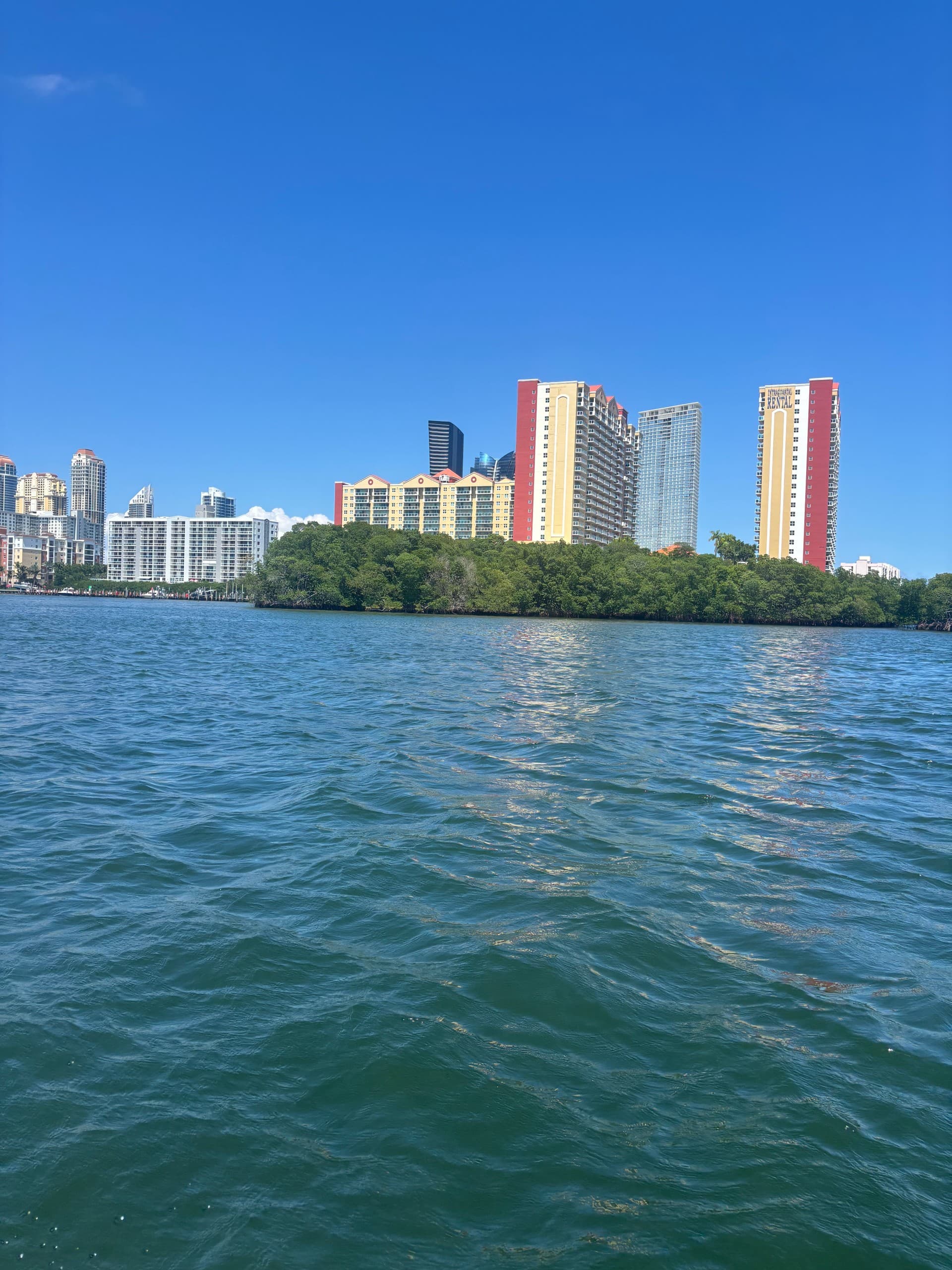 Shuttle to Haulover Sandbar: Miami’s Waist-Deep Turquoise Escape photo 2