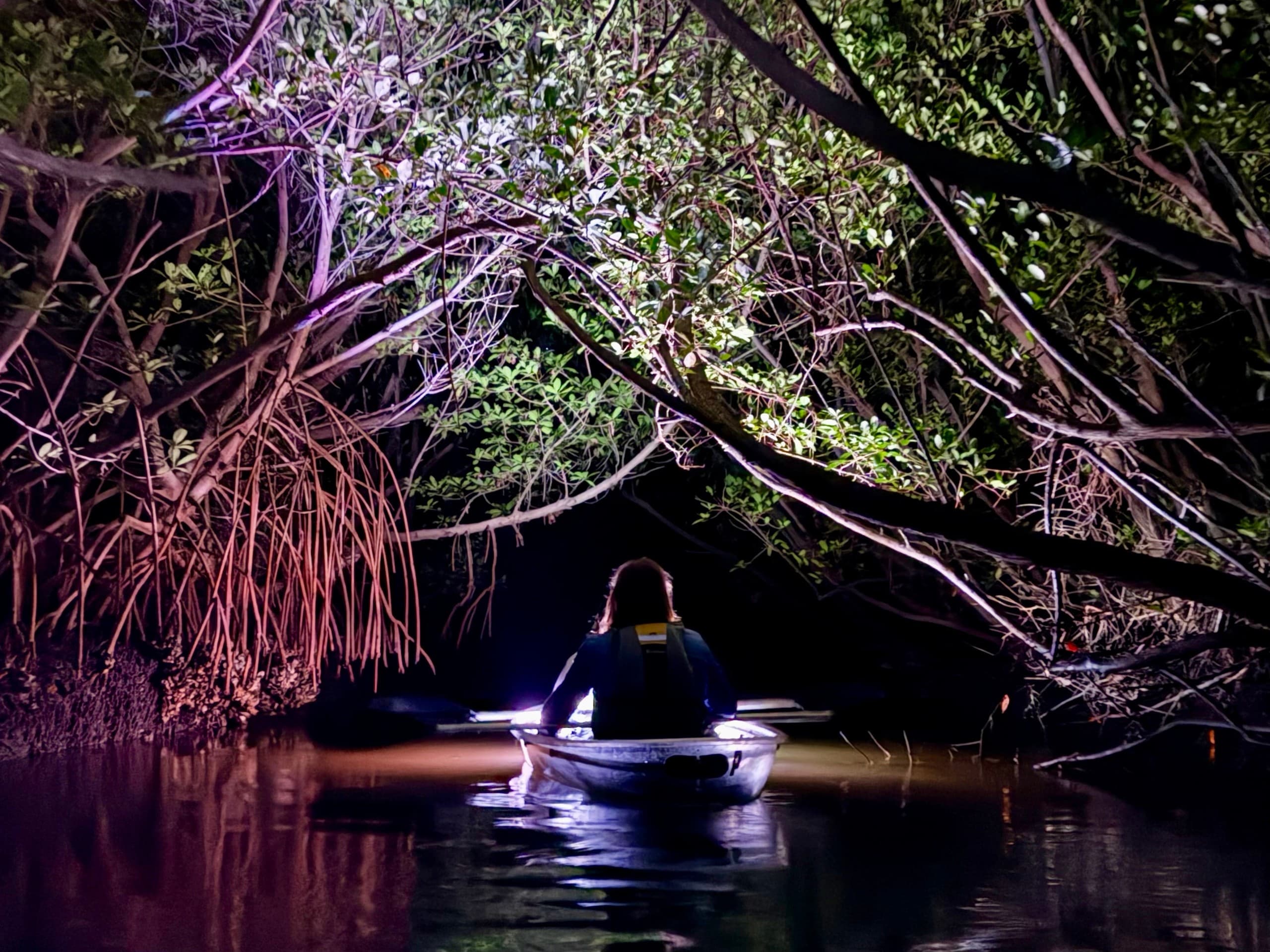 Clearwater Cooper's Bayou Glow: Clear Kayaks & Bioluminescence Night Tour