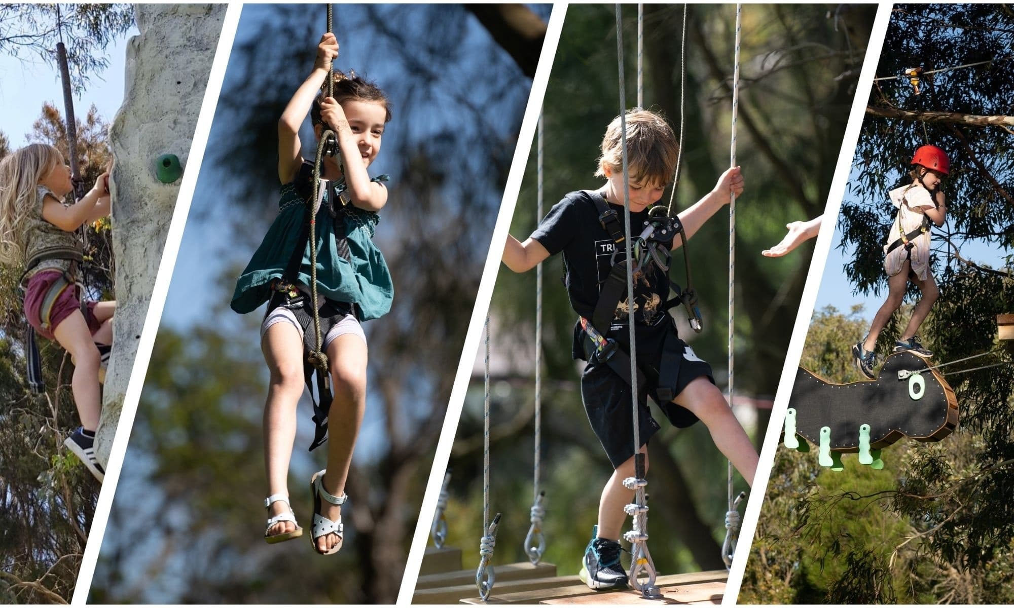 Children on tree-top ropes course and zipline in forest