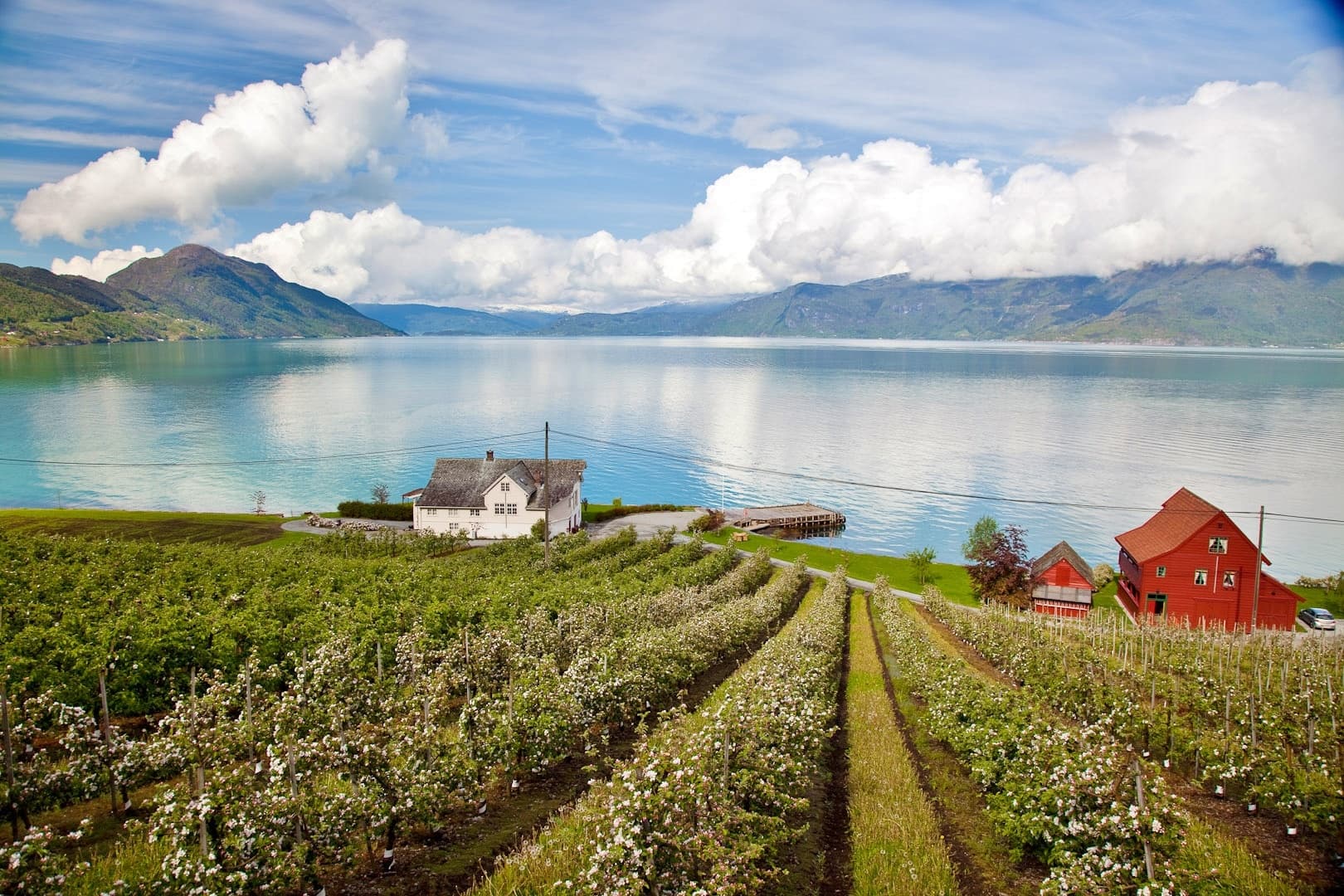 Water-activities & Land Adventures in Hardanger with JANDIS AS