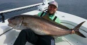 Captain holding giant amberjack on offshore charter boat