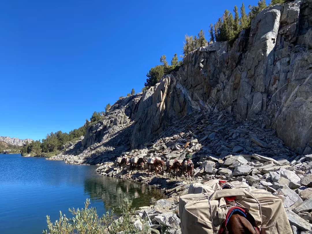 Pack-Mule Fishing to High Sierra Lakes: Full Day Trip from Bishop, CA