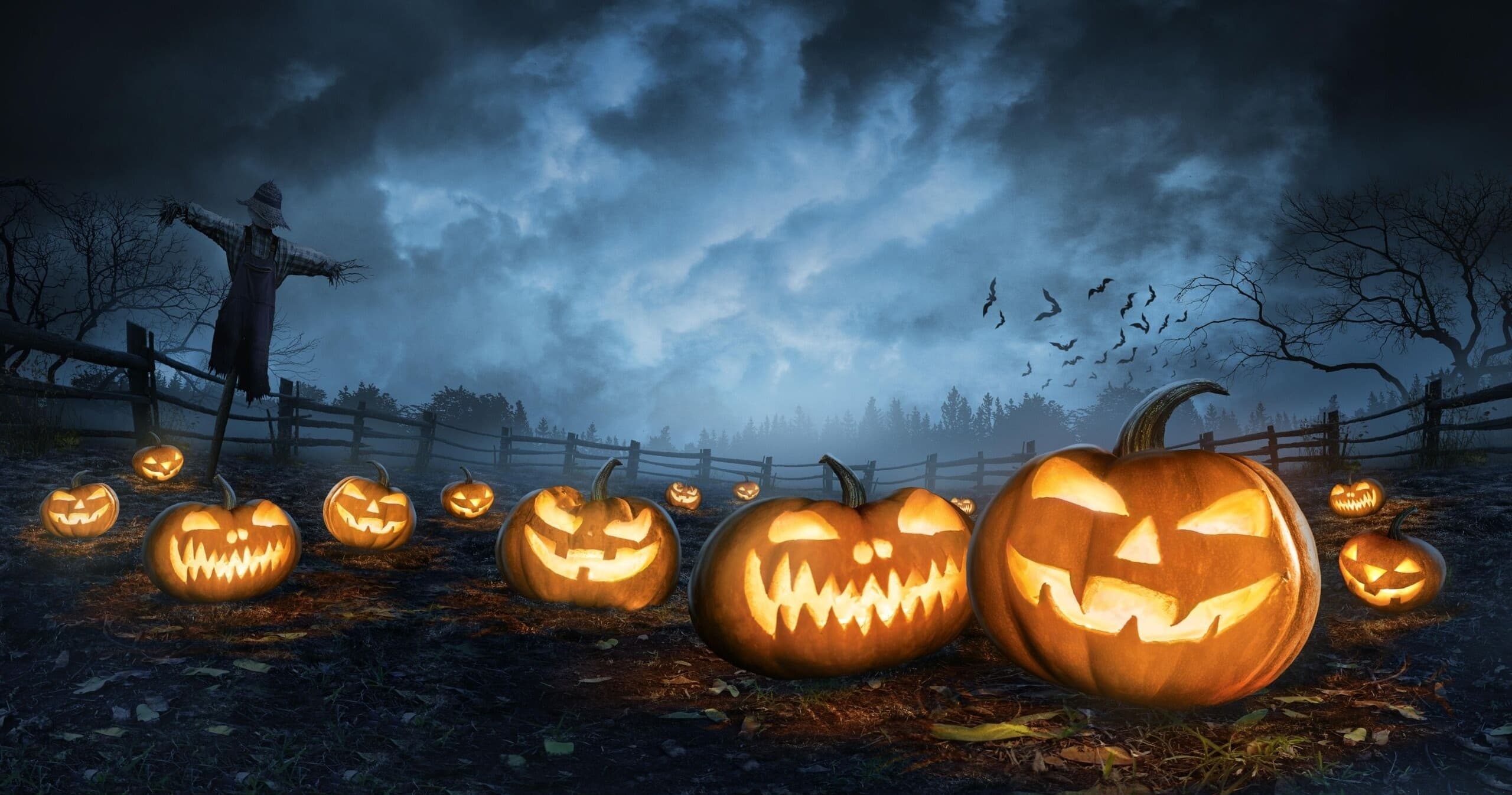 Water-Activities: Halloween Ghostly Cruise Adventure