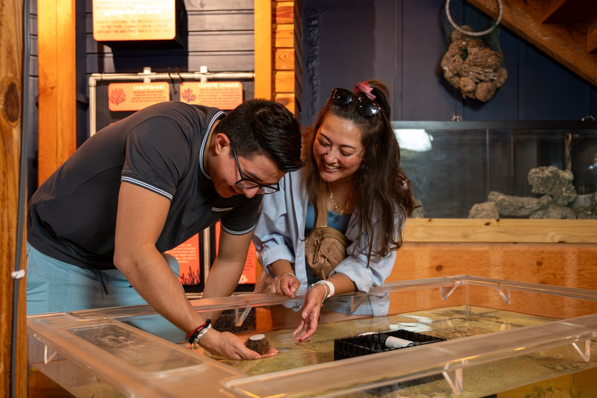 Exploratorium Admission in Islamorada, Florida