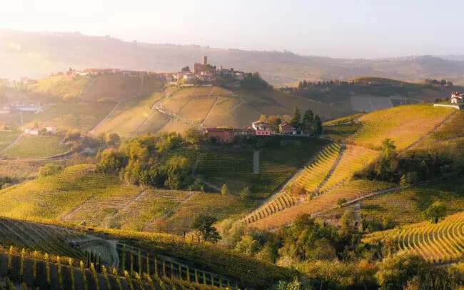 Taste Tuscany: 7-Night Wine & Culinary Odyssey from Florence to Val d'Orcia