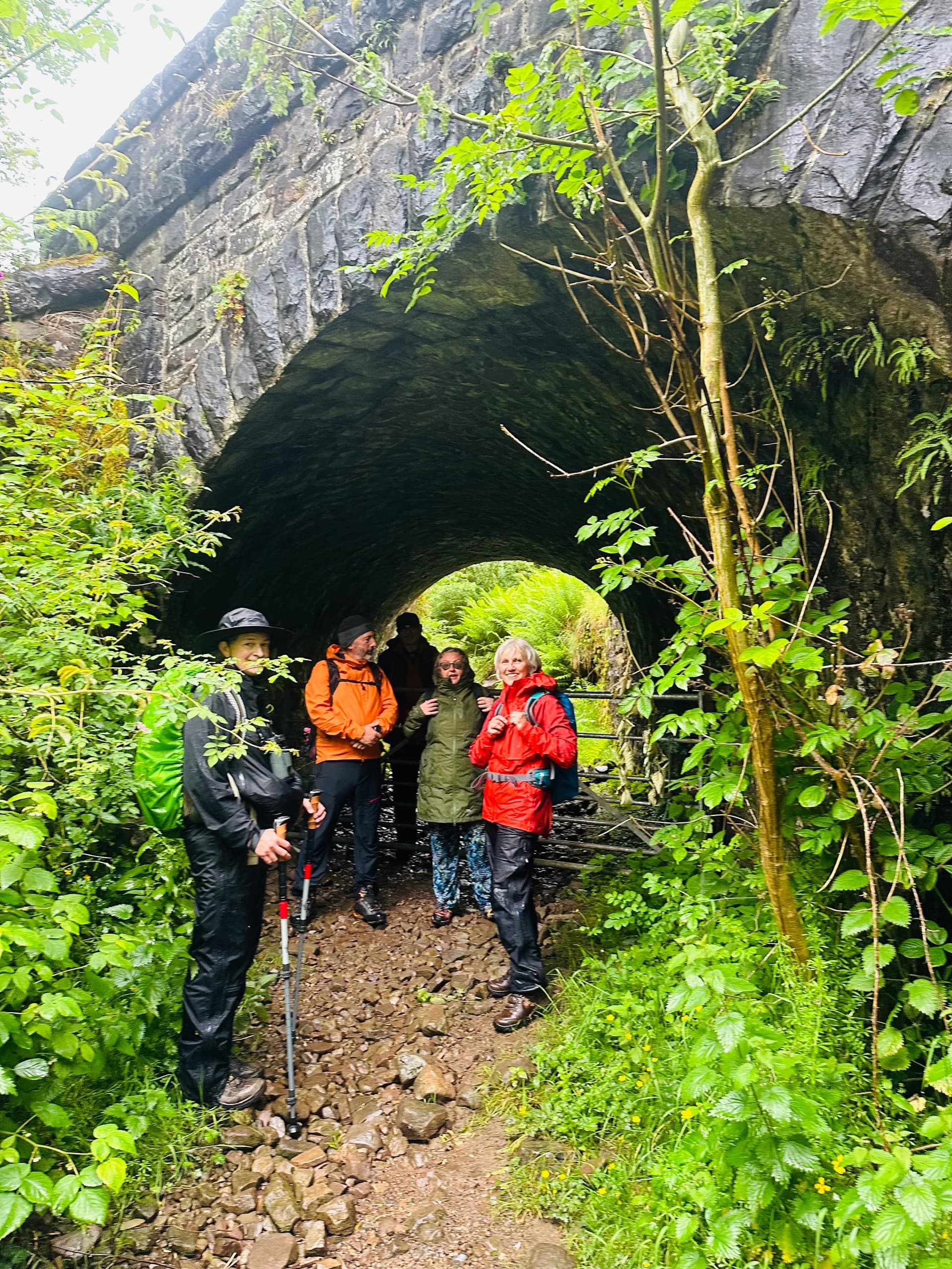 Scenic Train & Guided Walk through Reservoirs and Forests in the Brecon Beacons photo 4