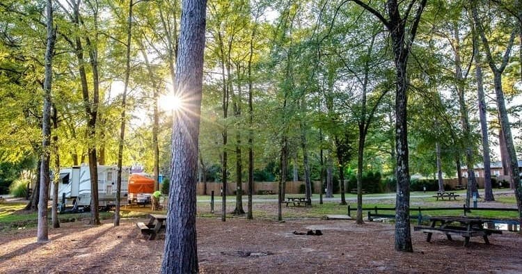 Campsite 5 at Majestic Caverns: Family-Friendly Outdoor Stay