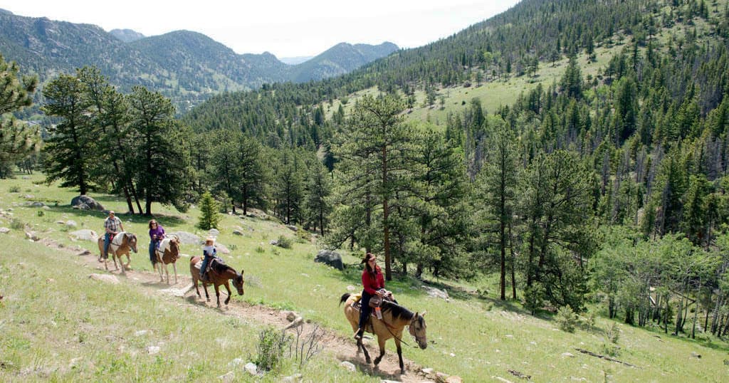 6 Hour Trail Ride to Deer Mountain Summit in Estes Park