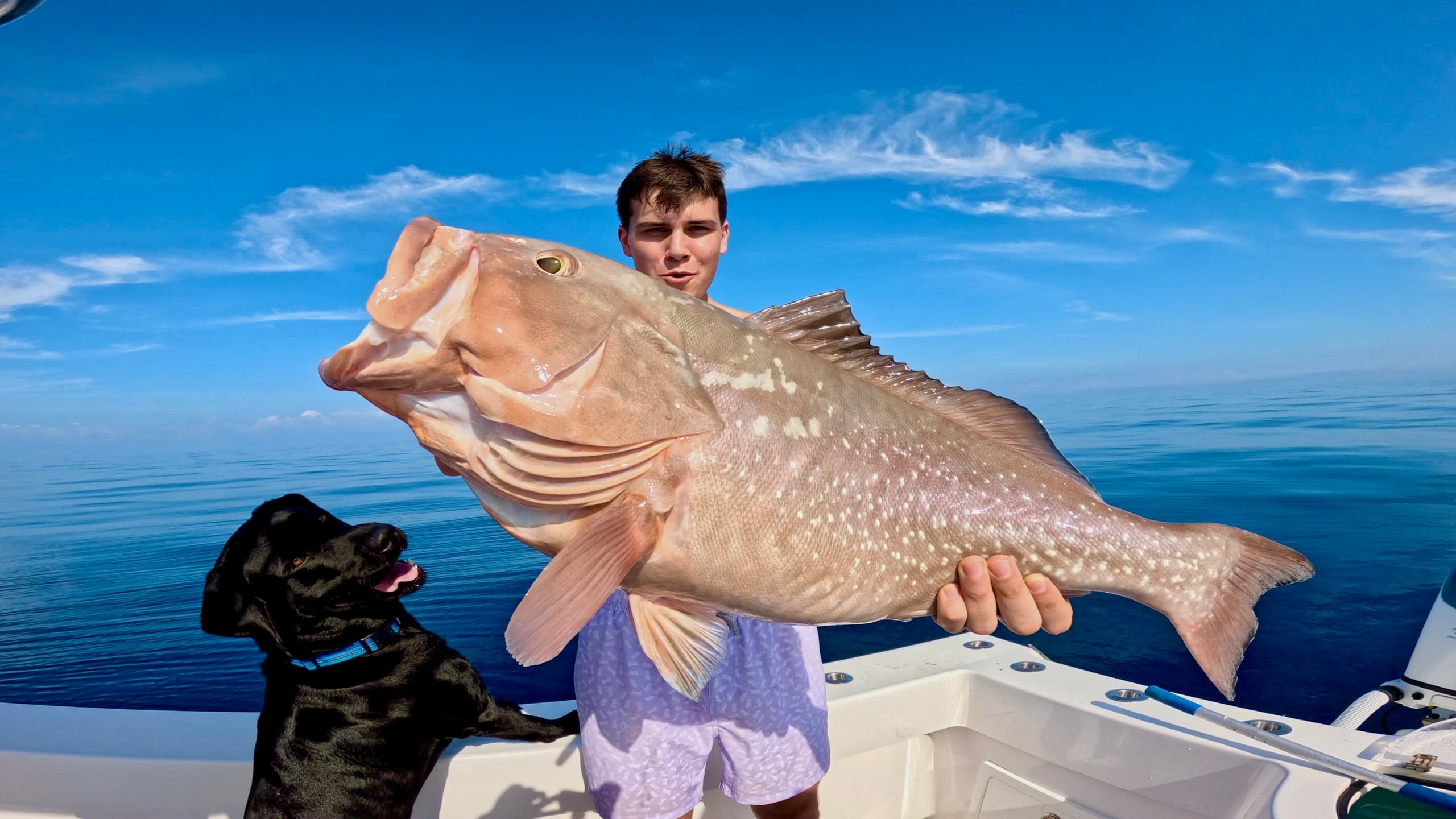 Young angler displaying large reef fish with dog on boat