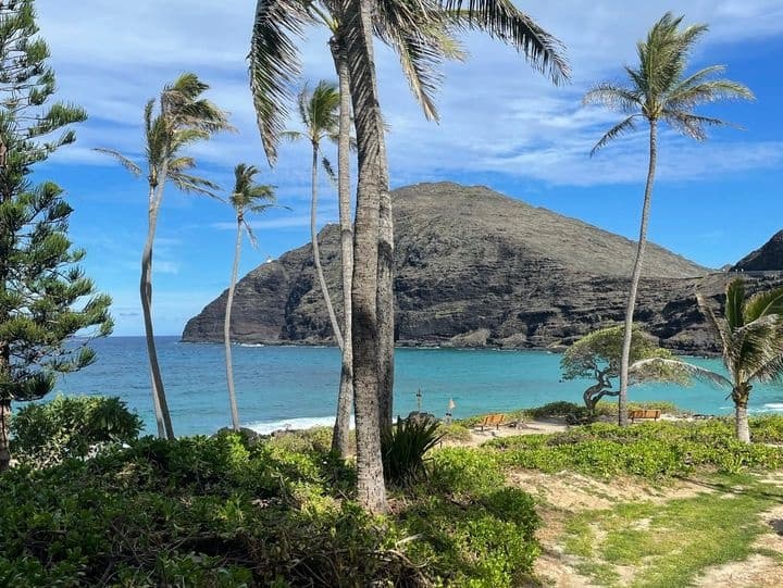 Palm-framed coastal cove with rocky headland on a tropical beach