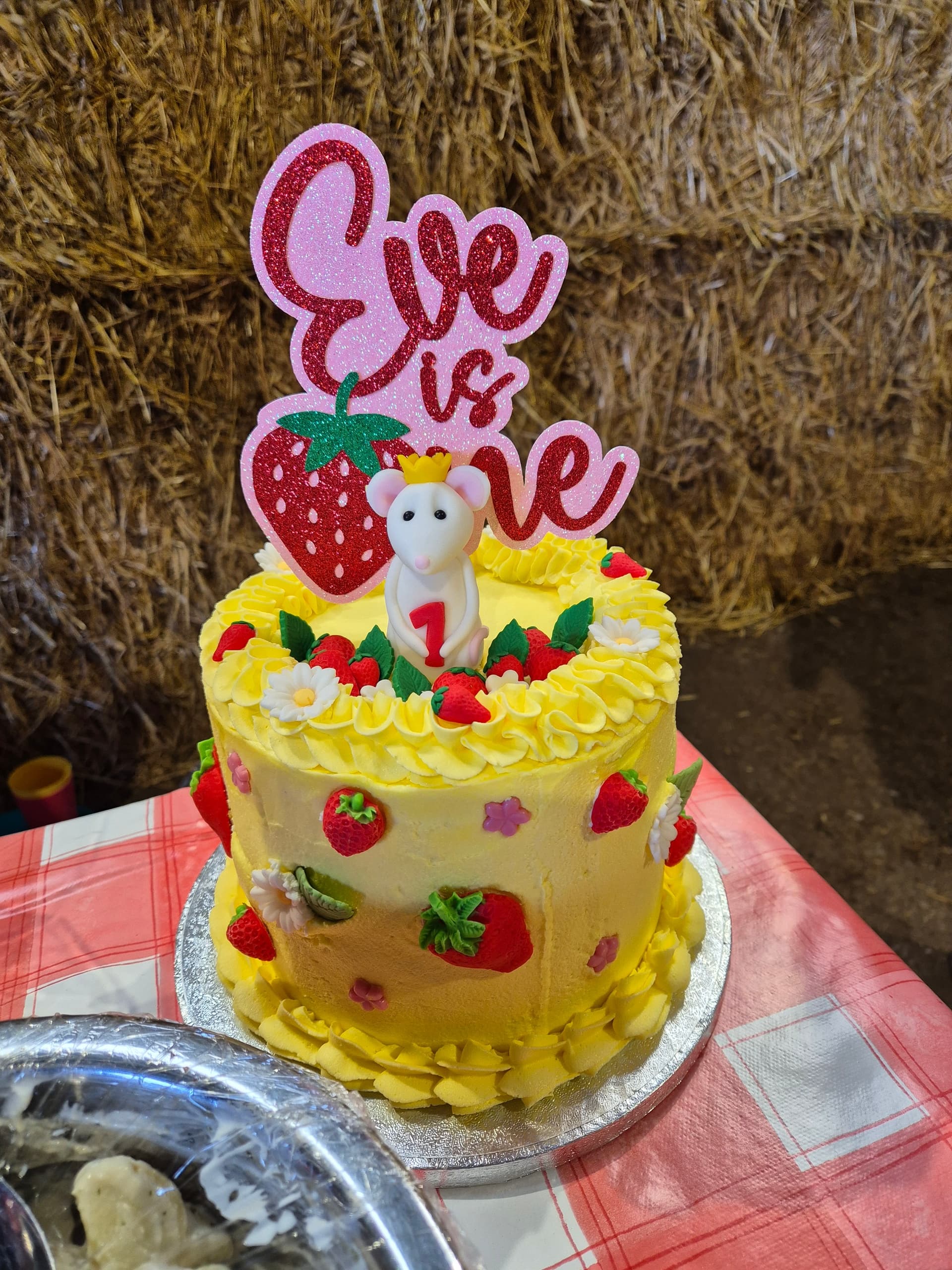 Farm Birthday Parties at Grains Farm Ltd in Scotland
