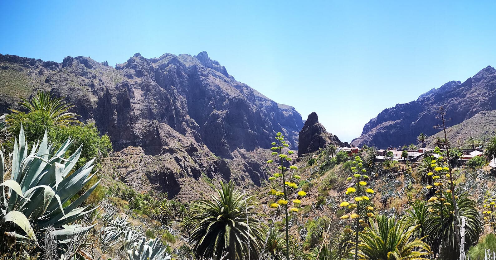 Mountain ridge and native agave plants across Tenerife volcanic valley