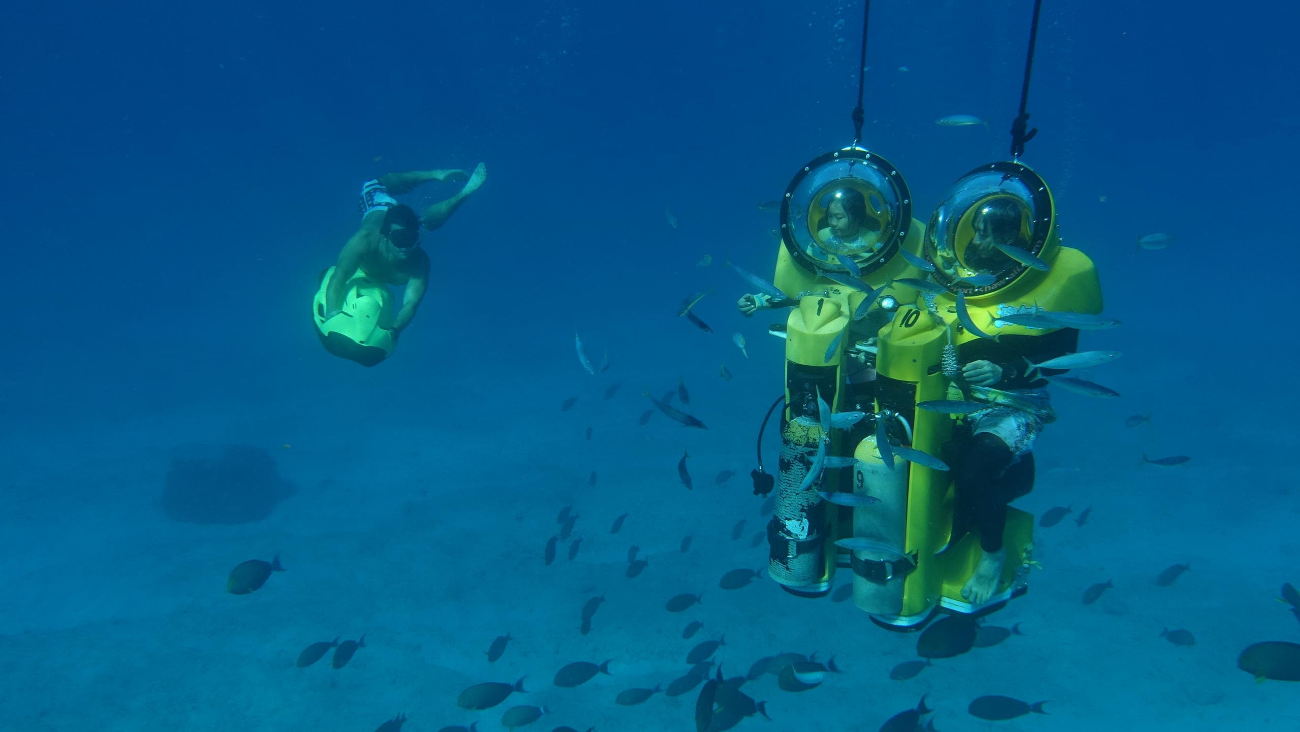 Submarine Scooter & Seabob (Super Dolphin)