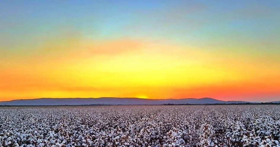 Kimberley Sunset Tour with Silent Tours