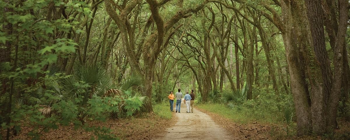 Explore Palmetto Bluff: Guided May River Nature Walk in Bluffton, SC