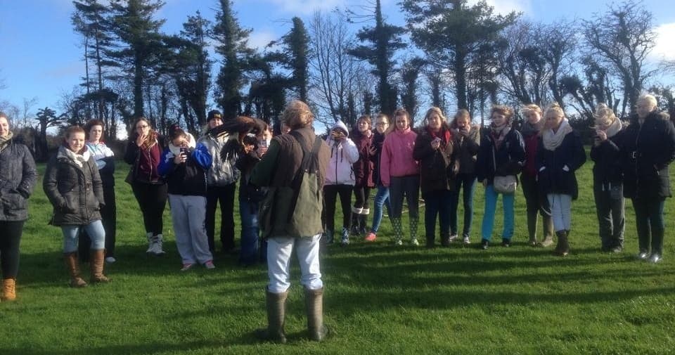 Hawk Walk in County Waterford: Free-Flying Harris Hawk in Ireland's Ancient East photo 2