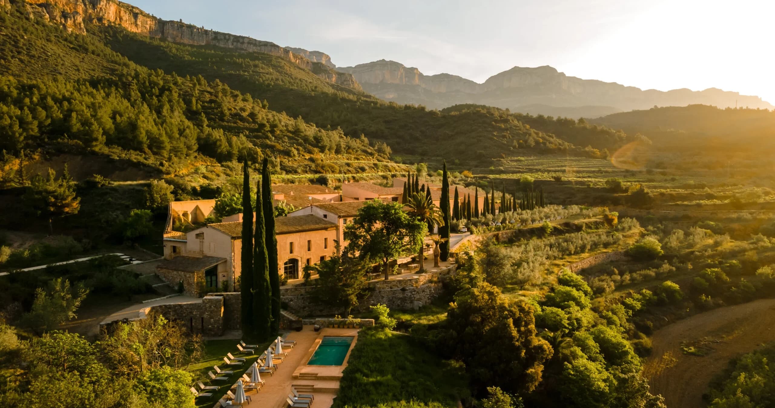 Penedes Wine Tour: Small-Group Cava & Boutique Winery Experience from Barcelona