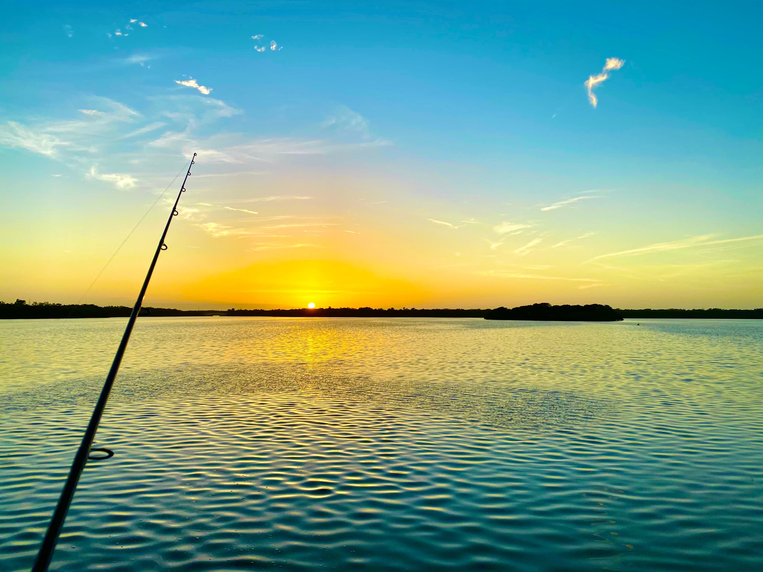 Fishing Charter with K Team Fishing LLC in Clearwater Beach