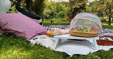 Outdoor Dining & Picnics with Perfect Picnic