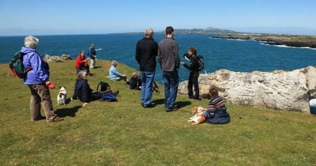 Explore Anglesey’s Coastal Heritage on the Rhoscolyn Guided History Walk