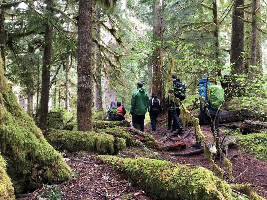Winter Hiking at Mt. Rainier: Longmire Only Tour in Seattle