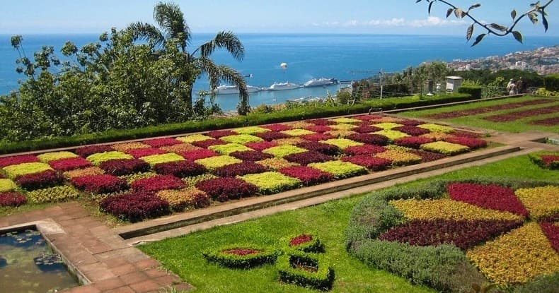 Botanical Garden photo 1